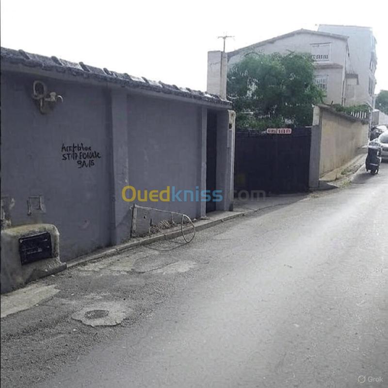 Vente Villa Alger El mouradia