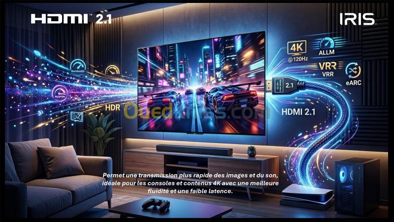 TELEVISEUR IRIS 65 M8020 MINILED ANDROID 14 GOOGLE TV 65POUCES UHD 4K 120Hz MATTE 12