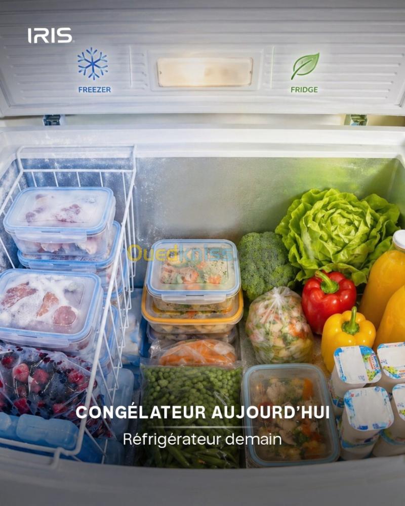 CONGELATEUR IRIS ICFG 255 COFREE + VITRE 11