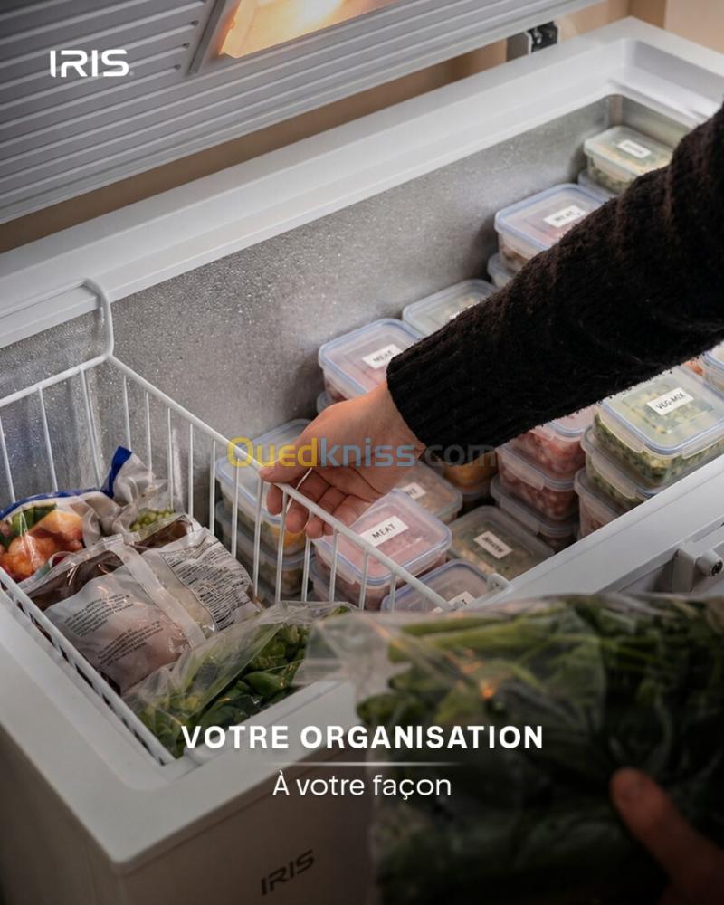 CONGELATEUR IRIS CF 255 COFREE 8