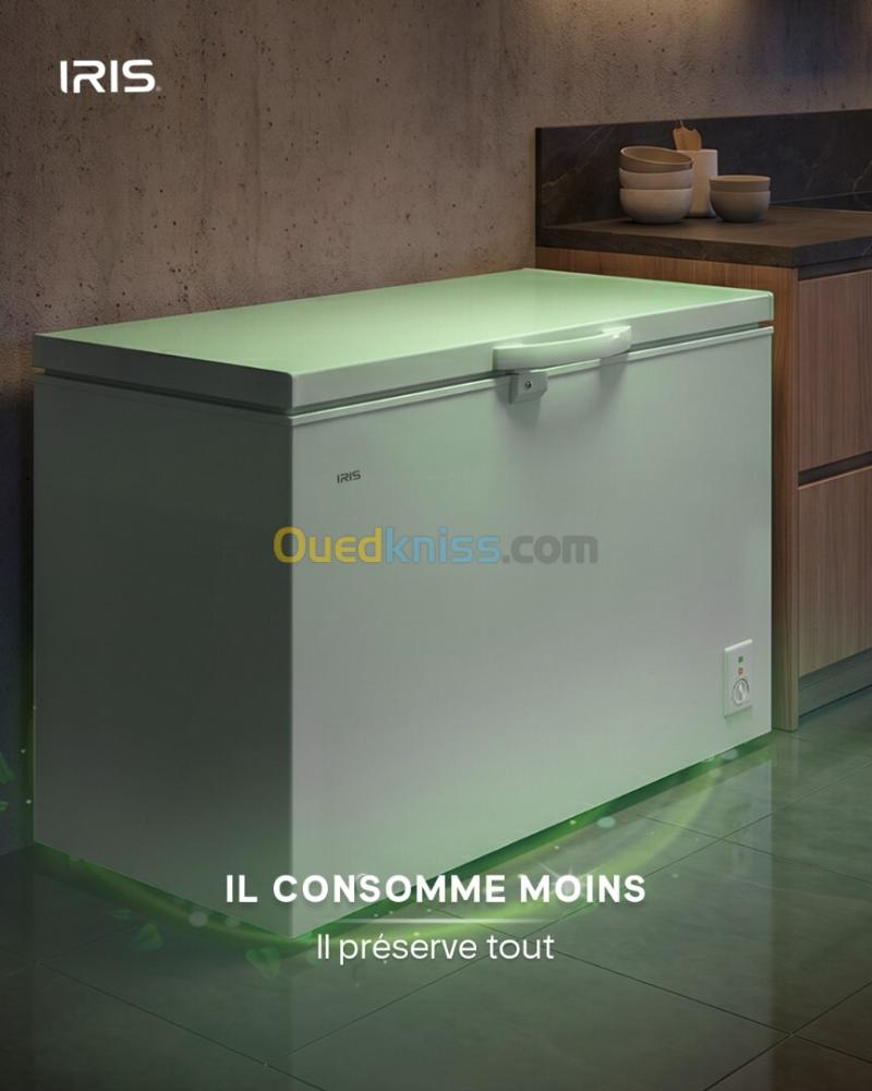 CONGELATEUR IRIS ICFG 255 COFREE + VITRE 13