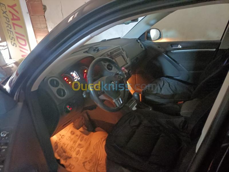 Volkswagen Tiguan 2015 CUP 6