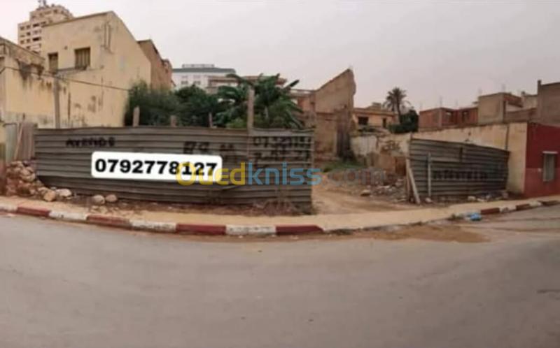 Vente Terrain Mostaganem Mostaganem 2