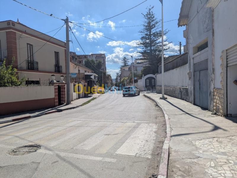 Location Local Annaba Annaba