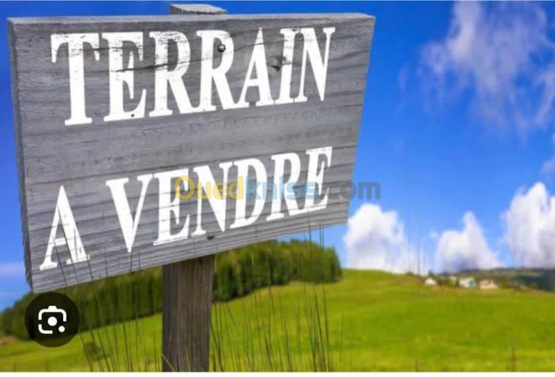 Vente Terrain Alger Ouled fayet