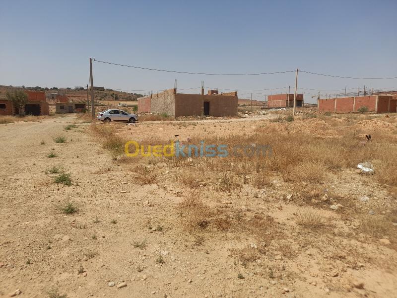 Vente Terrain Saïda Youb 4