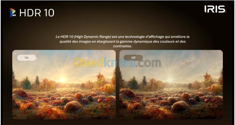 IRIS 65" MINILED M8020 GOOGLE TV 120 HZ 4k UHD ANDROID 14 65 POUCES  MINI LED 15