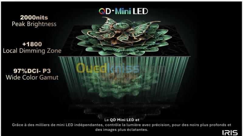 TV IRIS 55" QD MINI LED S9800 GOOGLE TV 144 Hz OMNIVIEW MEMC VRR ALLM 4k UHD ANDROID 14 + BARRE DE SON INTEGRÉE 14