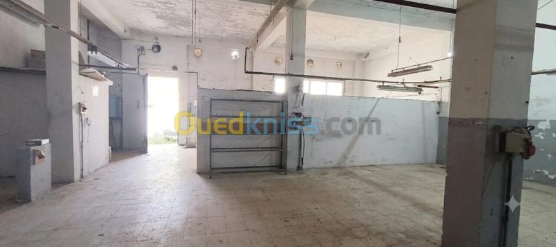 Location Hangar - Usine Béjaïa Bejaia 10