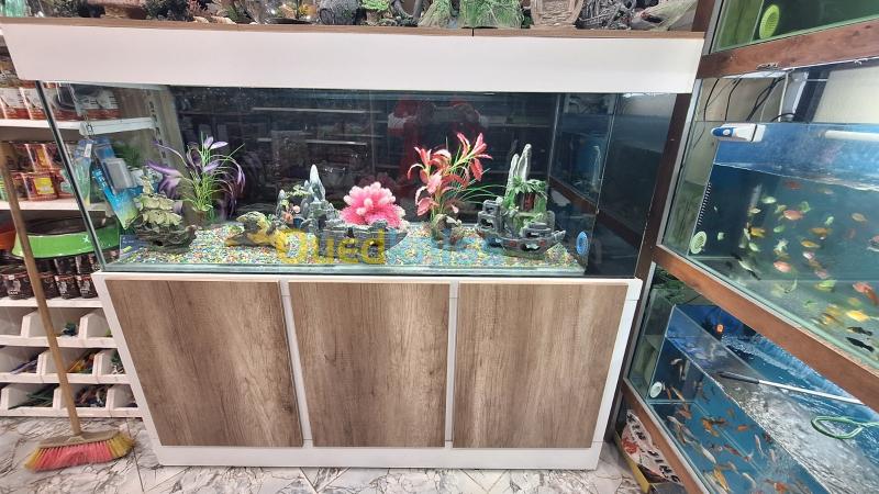  Aquarium 