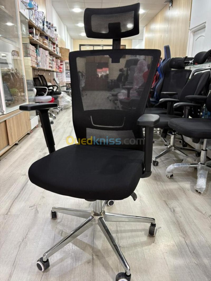 CHAISE ERGONOMIQUE PROFESSIONNELLE
