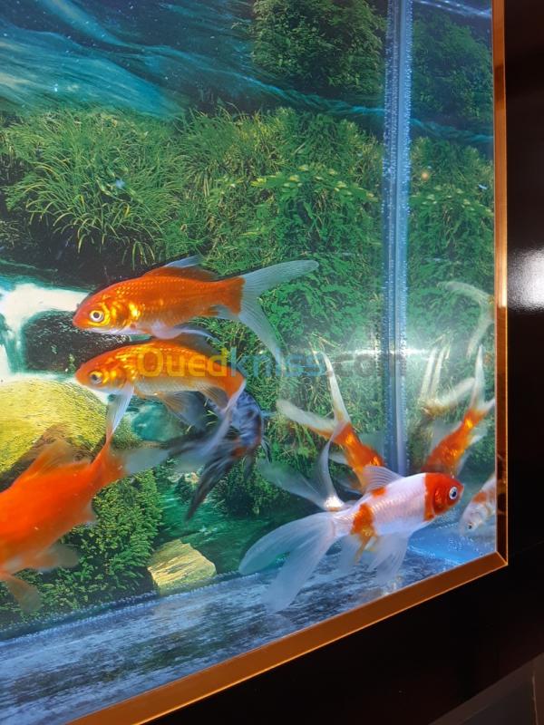  Aquarium plasma 80cm avec meuble, 8 Poissons et accessoires complet 
