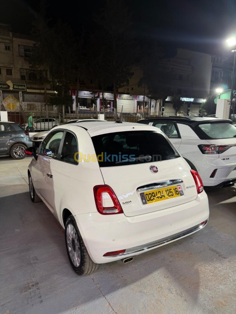 Fiat 500 2025  10
