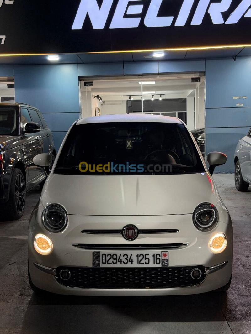 Fiat 500 2025  11