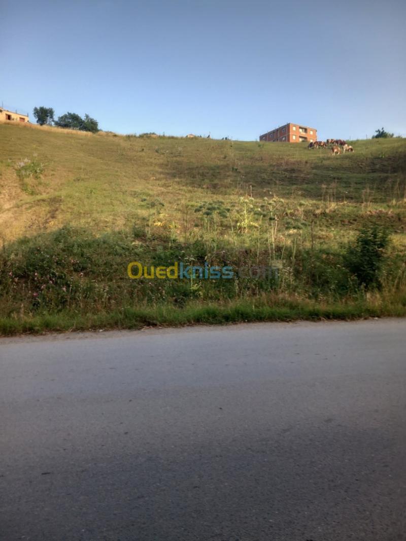 Vente Terrain Tizi Ouzou Tizi ouzou Tizi Ouzou Algérie