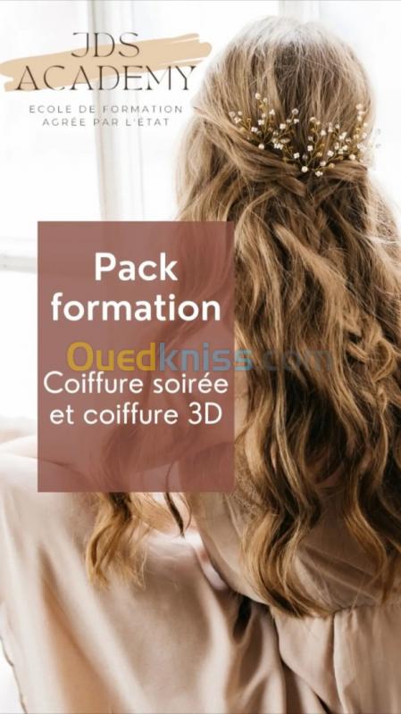  Formation coiffure soirée /3D