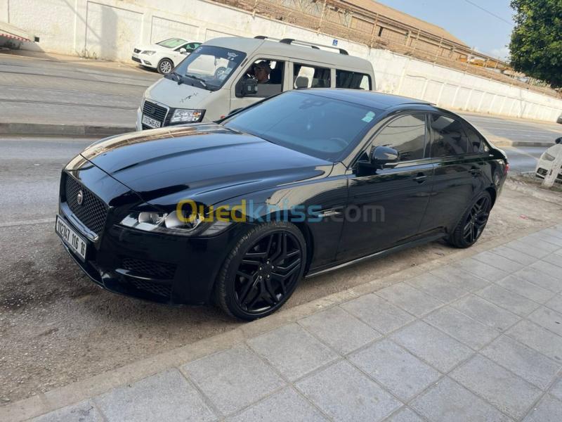 Jaguar XF Sportbrake 2016 XF Sportbrake 5