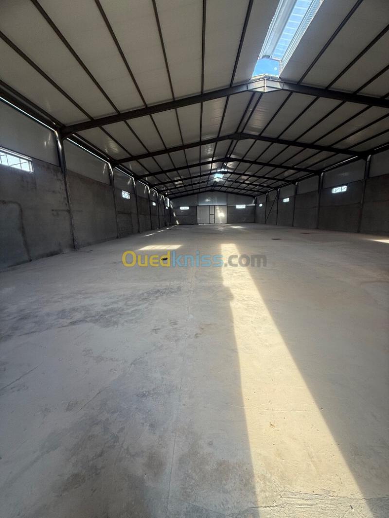 Location Hangar - Usine Sétif Ain arnat 7