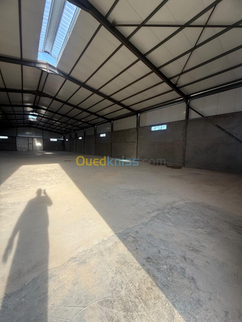 Location Hangar - Usine Sétif Ain arnat 6