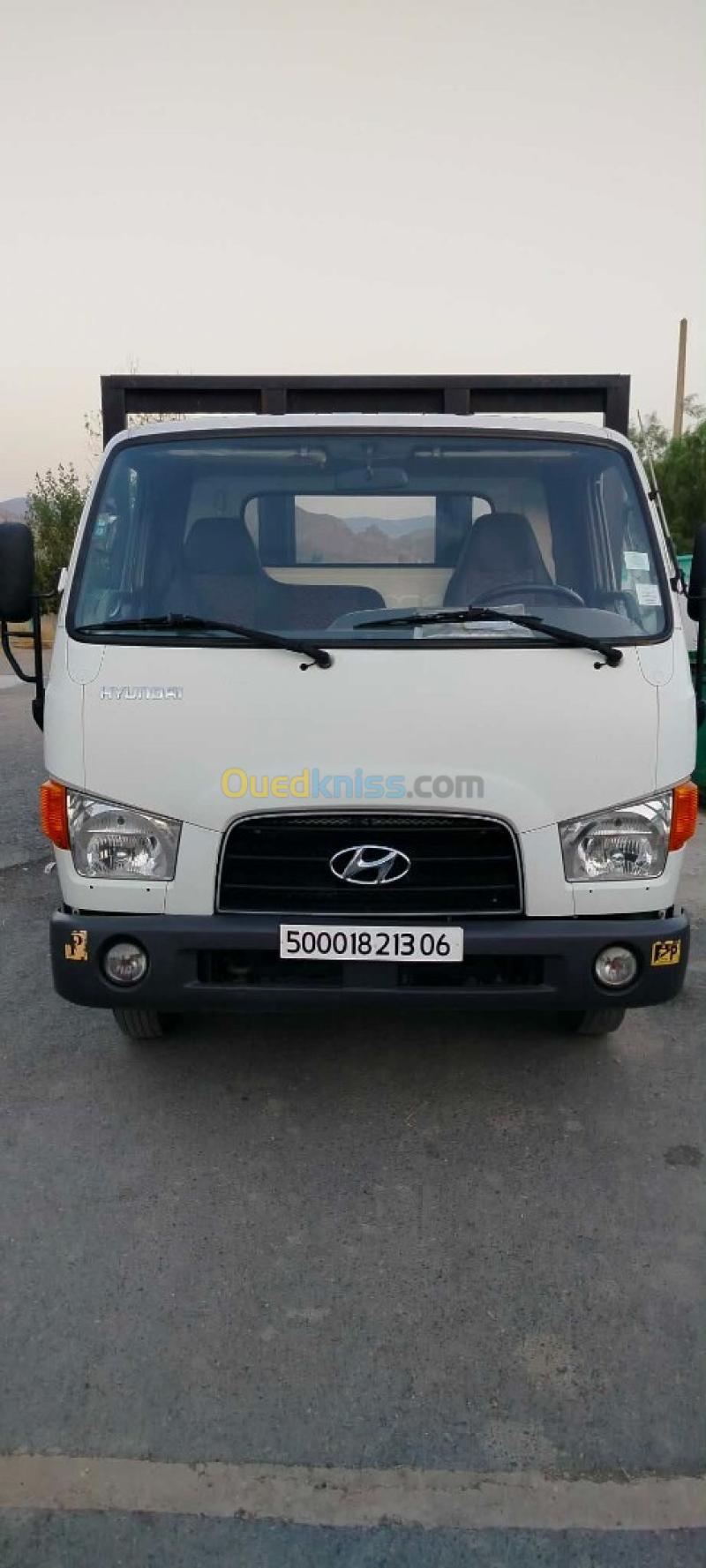 Hyundai HD65 2013