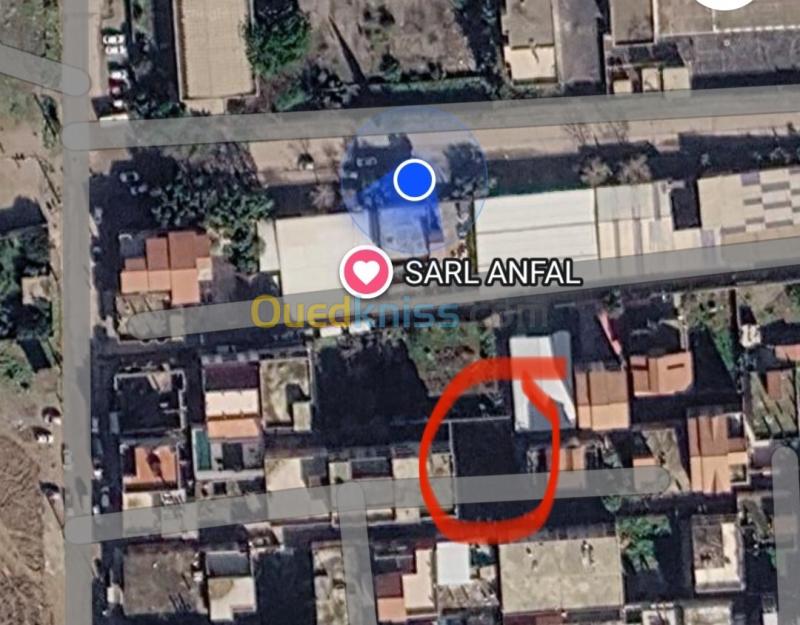 Vente Terrain Alger Bordj el kiffan