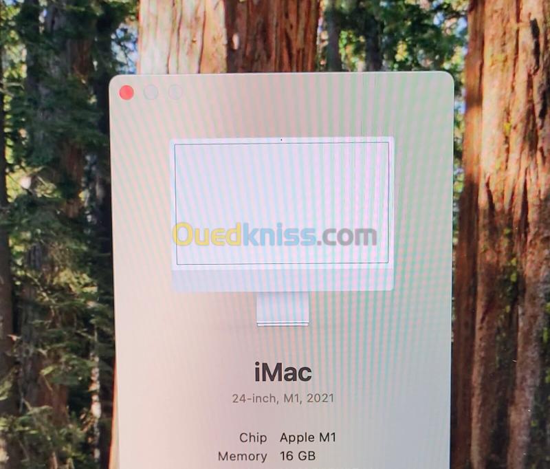 IMAC M1 24'' 4.5K | M1 Pro 8 CPU | GPU 8 COEURS | 16GB RAM | 512GB NVMe SSD | 6