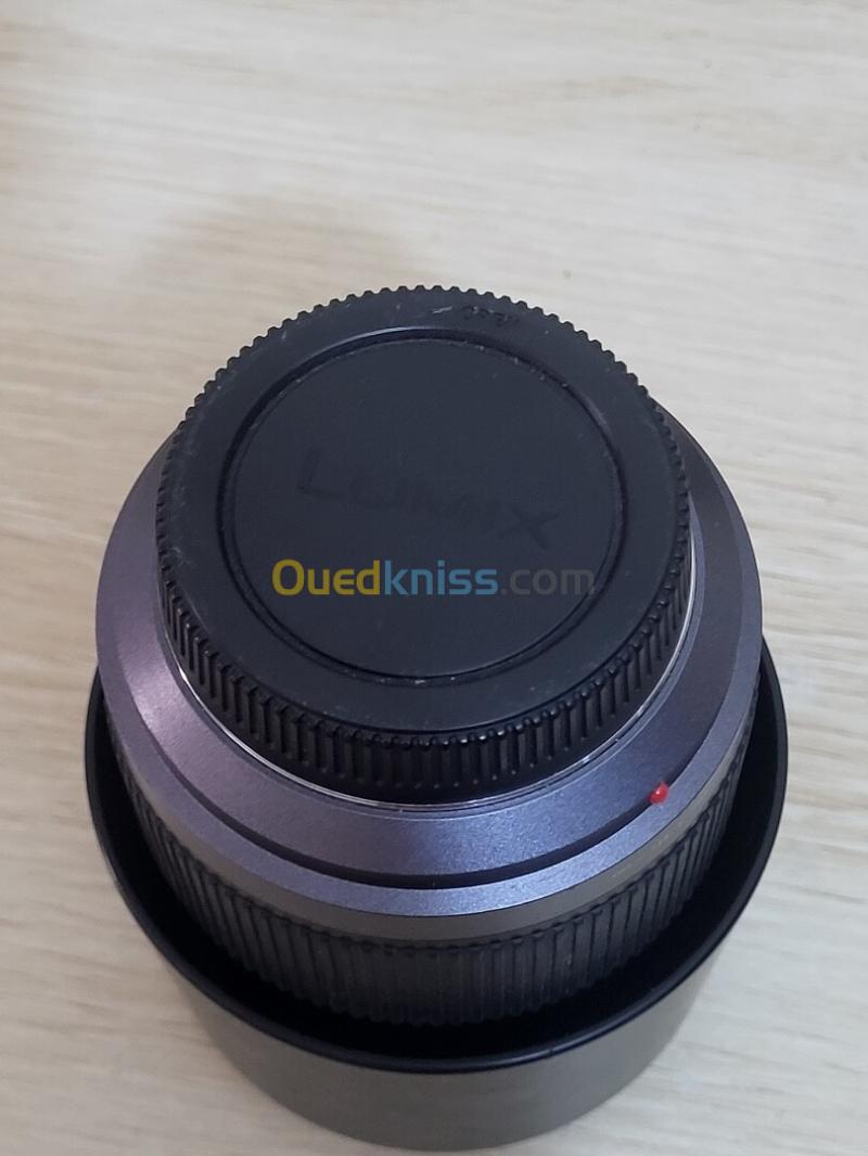 Panasonic Lumix G Vario 45-200mm f/4-5.6 Mega OIS 7
