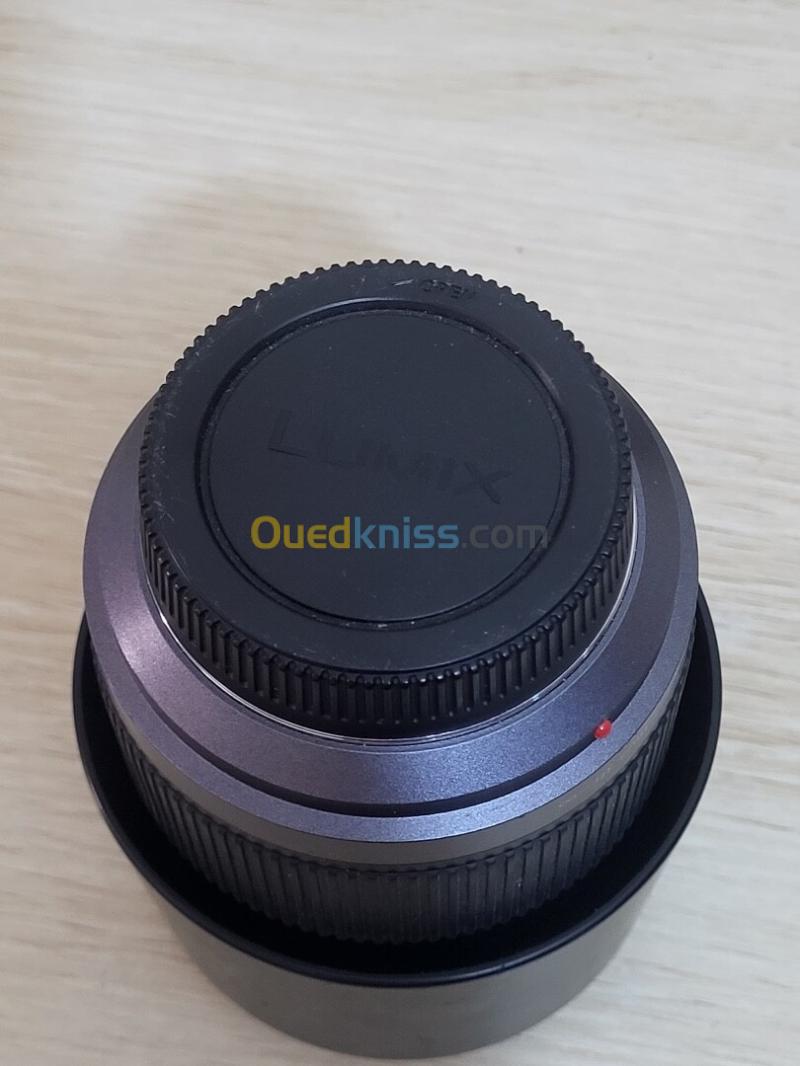 Panasonic Lumix G Vario 45-200mm f/4-5.6 Mega OIS 11