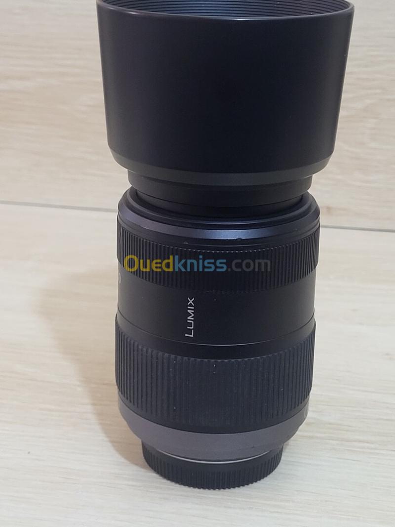 Panasonic Lumix G Vario 45-200mm f/4-5.6 Mega OIS 8