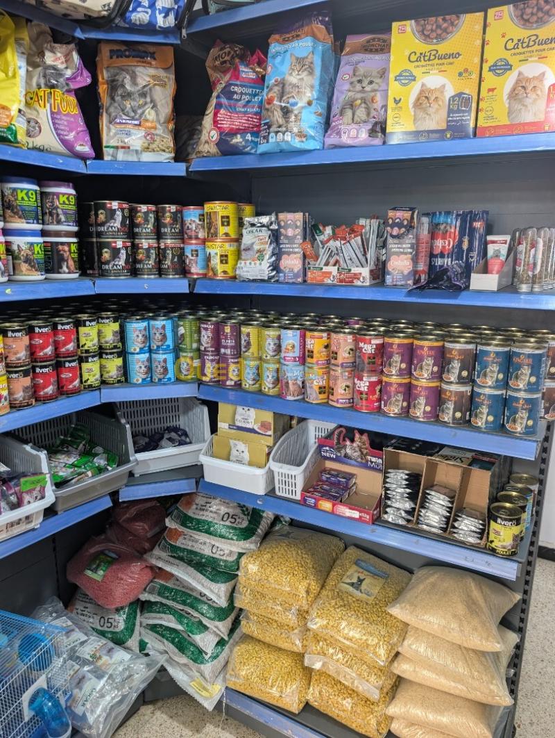 عاملة vendeuse ecomerce kouba بن عمار 3