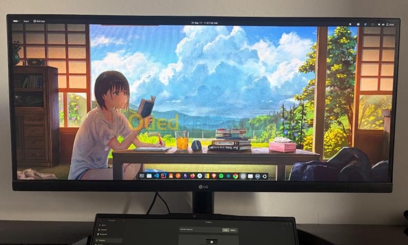 LG UltraWide 29" neuf IPS 100Hz 2560x1080 HDR haut-parleurs usb-c 2
