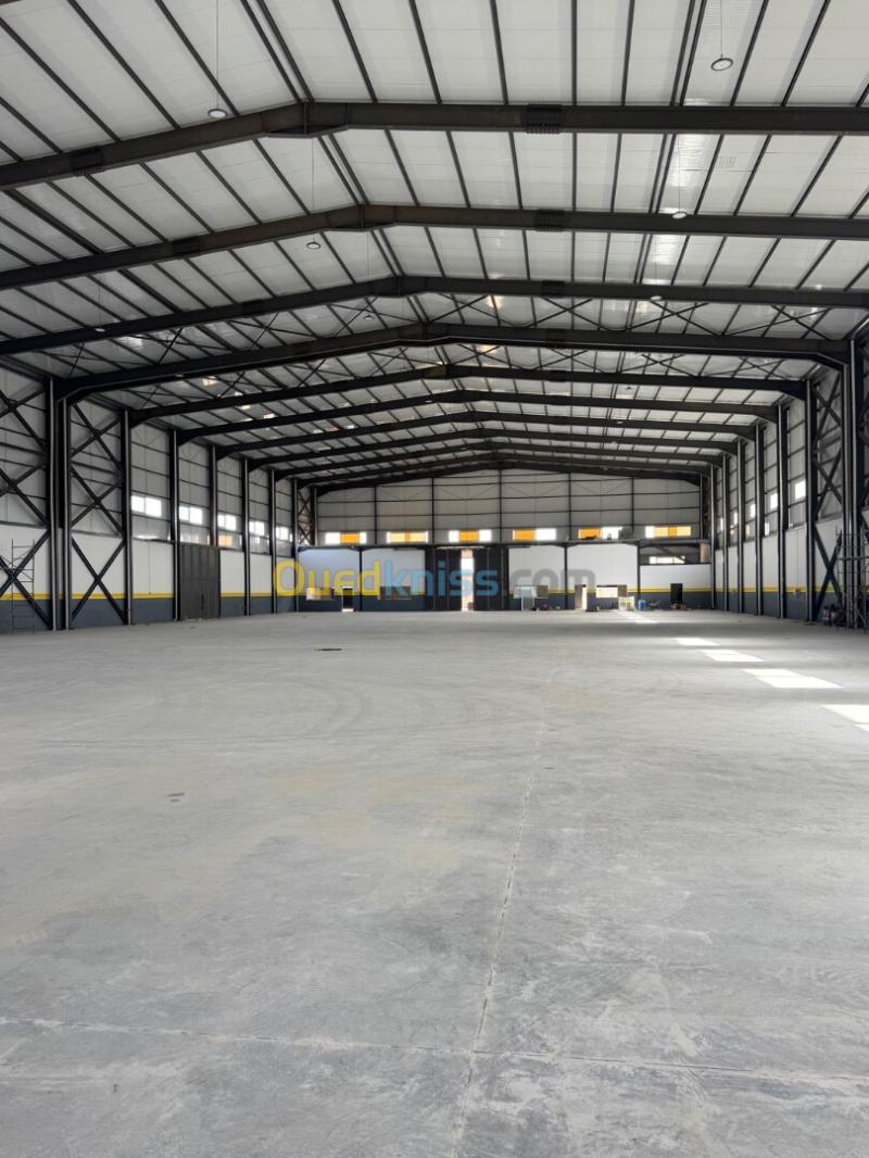 Location Hangar - Usine Alger Birtouta 5
