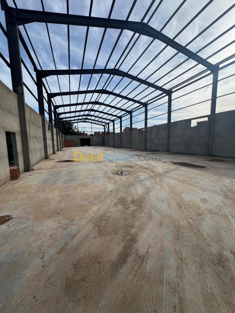 Location Hangar - Usine Blida Ouled selama