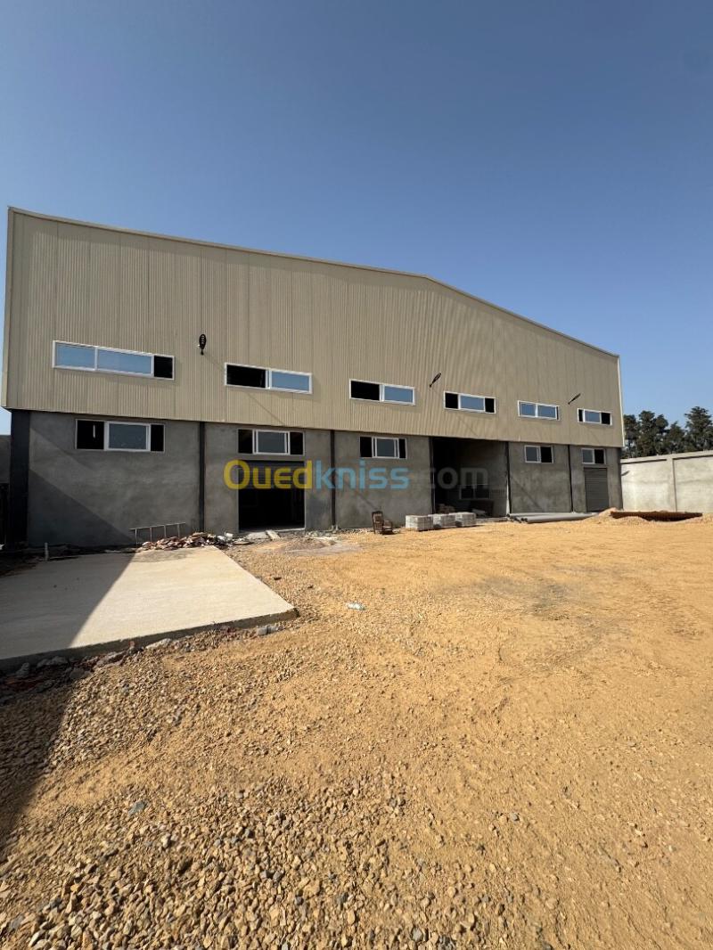 Location Hangar - Usine Alger Birtouta 14