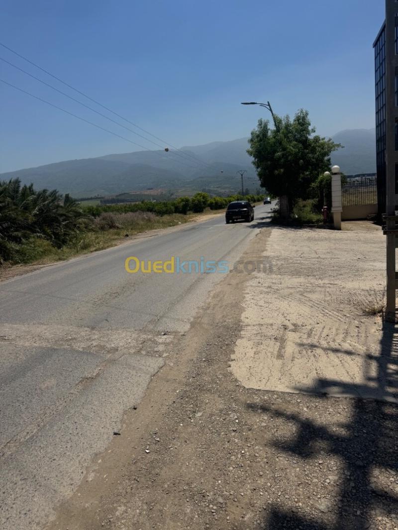 Vente Terrain Blida Soumaa 4