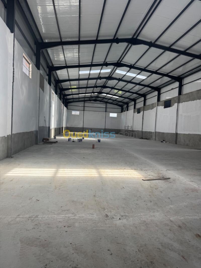 Location Hangar - Usine Blida Chebli 2