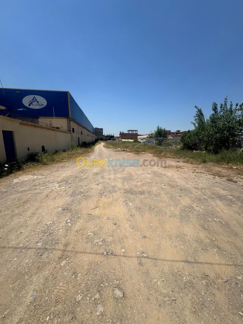 Vente Terrain Blida Soumaa