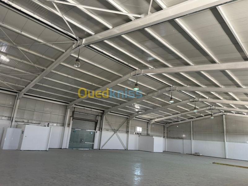Location Hangar - Usine Blida Guerrouaou