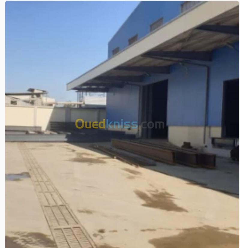 Location Hangar - Usine Blida Blida