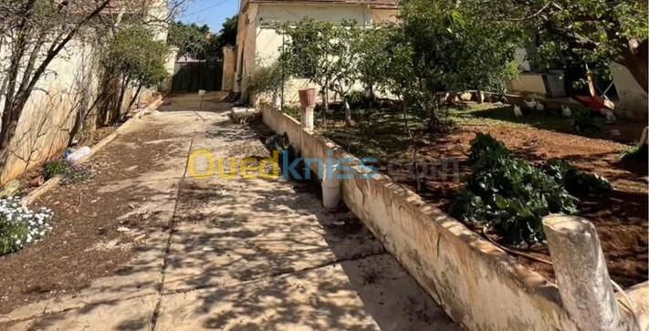 Vente Villa Aïn Témouchent Chaabet el ham