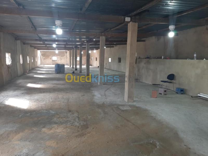 Vente Terrain Oran El Kerma 3