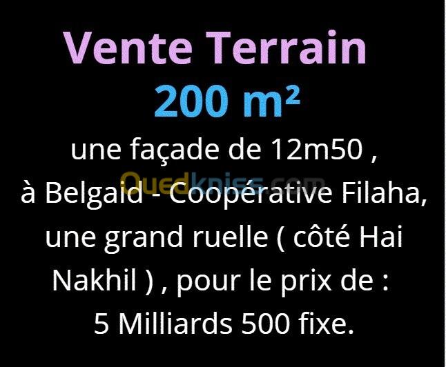 Vente Terrain Oran Bir el djir