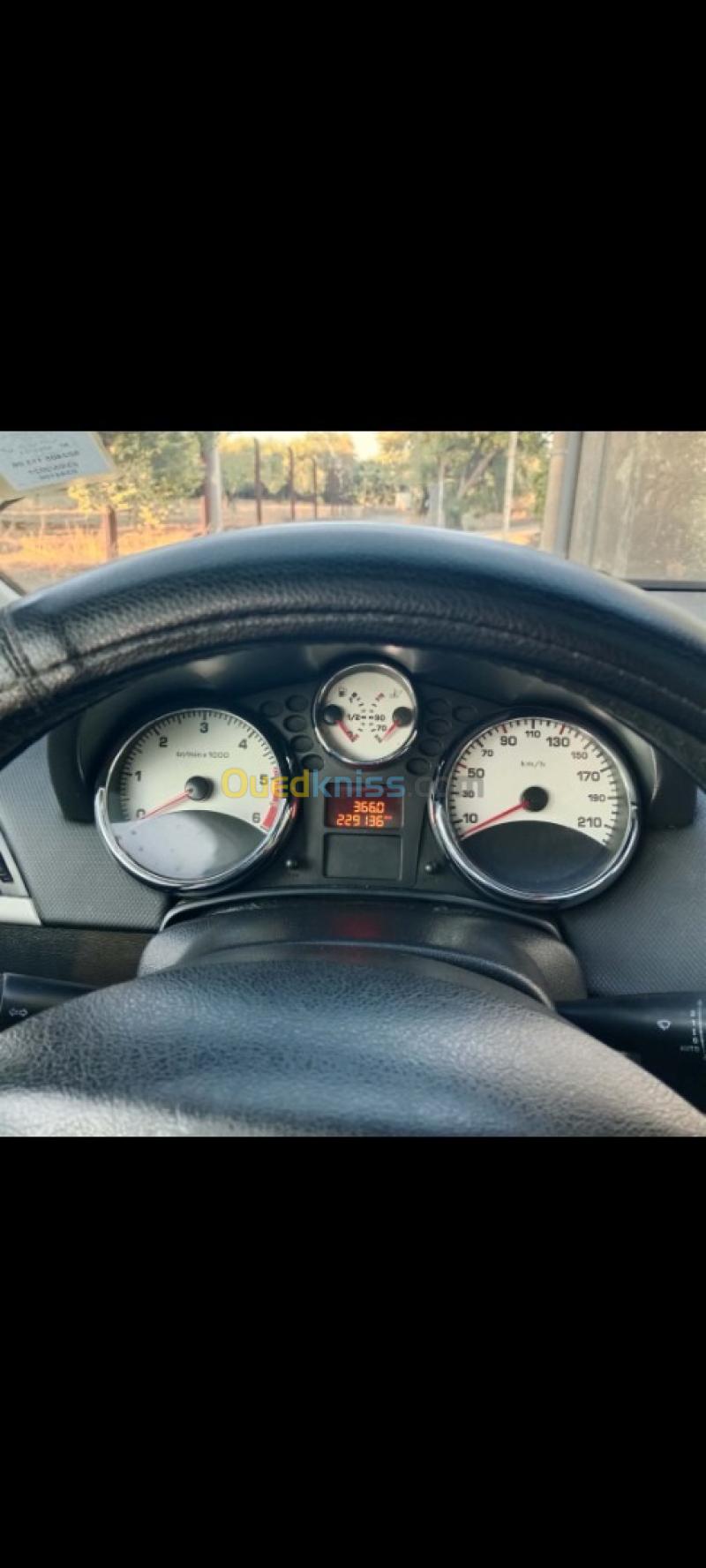 Peugeot 207 2013 Allure 3
