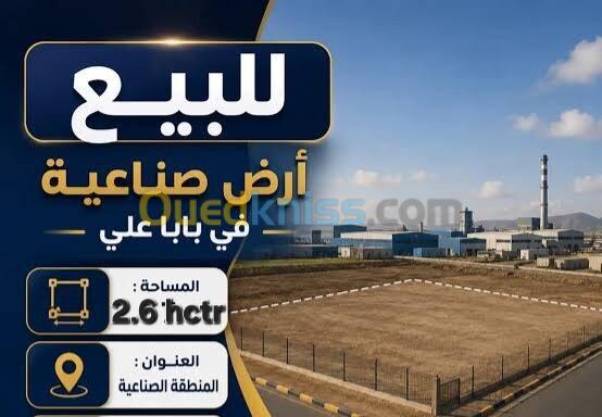 Vente Terrain Alger Birtouta