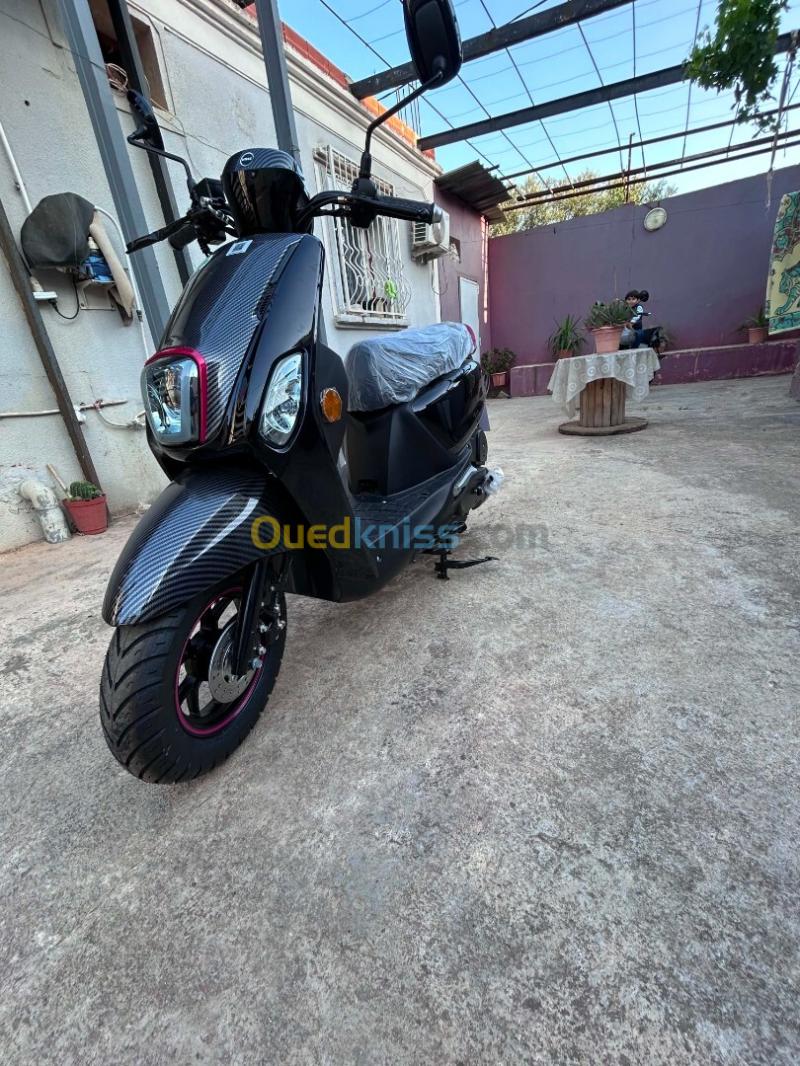 Vms Cuxi 2 2026 2