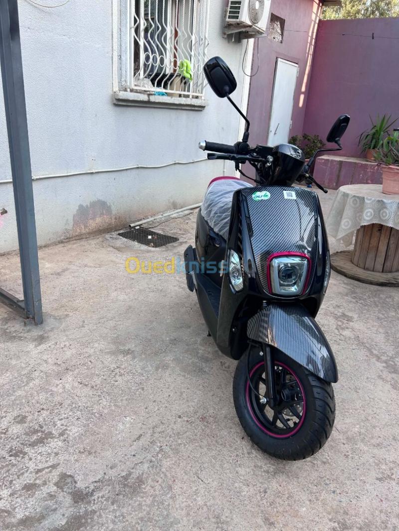 Vms Cuxi 2 2026 4