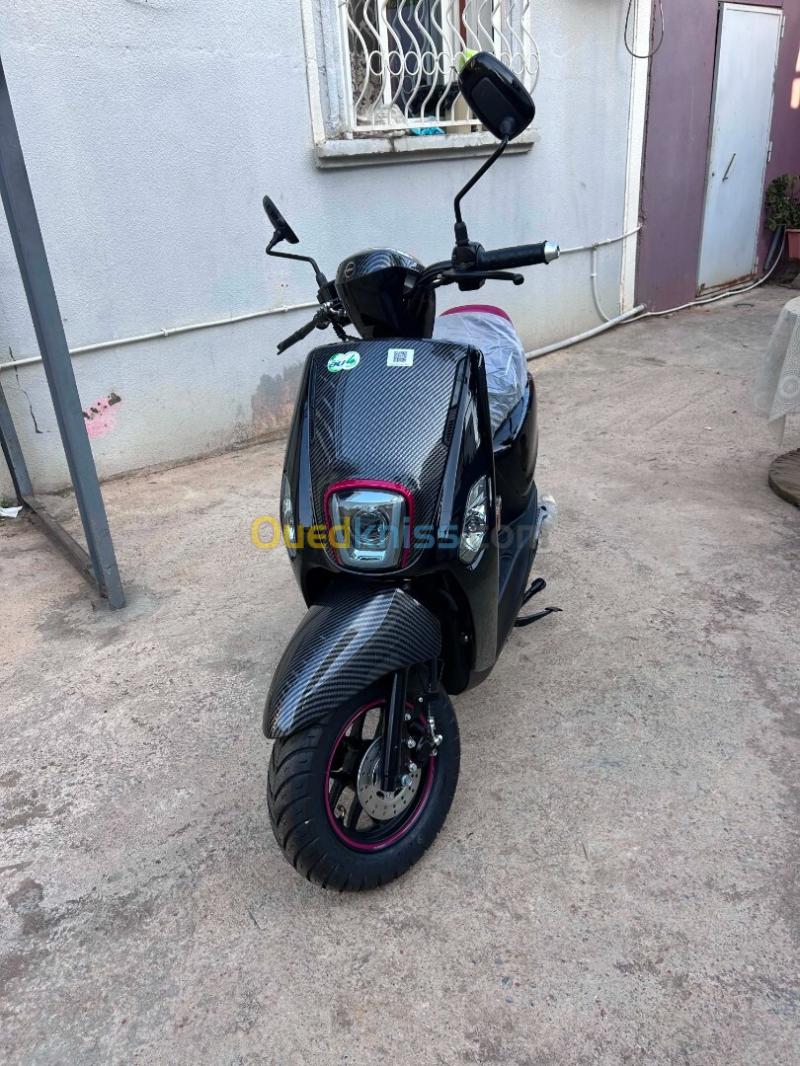 Vms Cuxi 2 2026 6