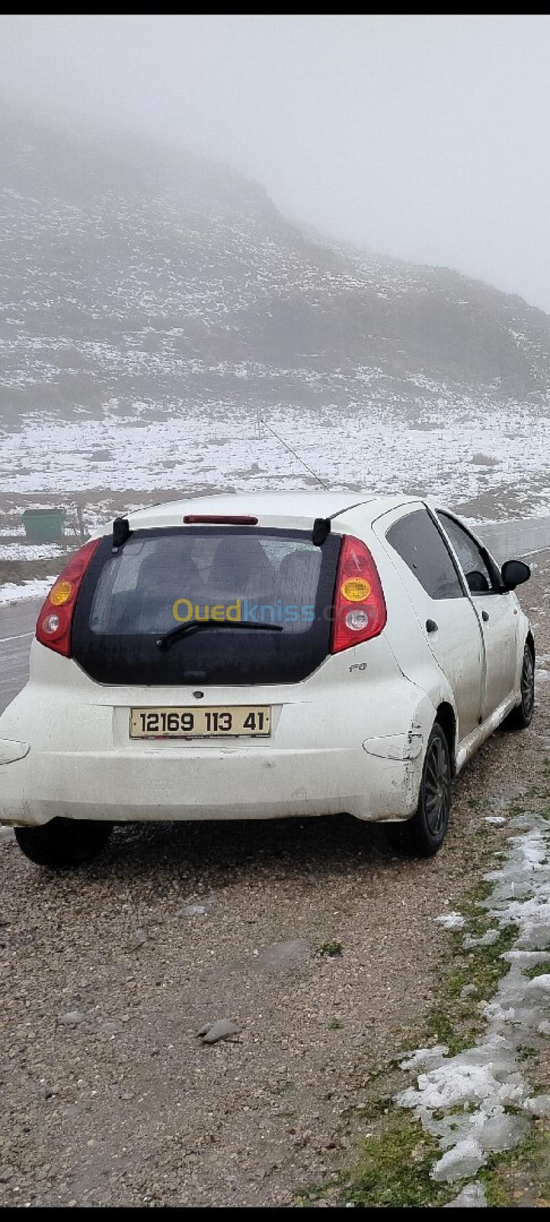 BYD F0 2013 F0 5