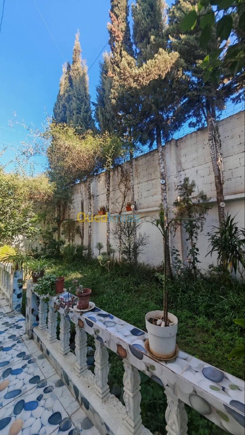 Vente Villa Blida Ben khellil 11
