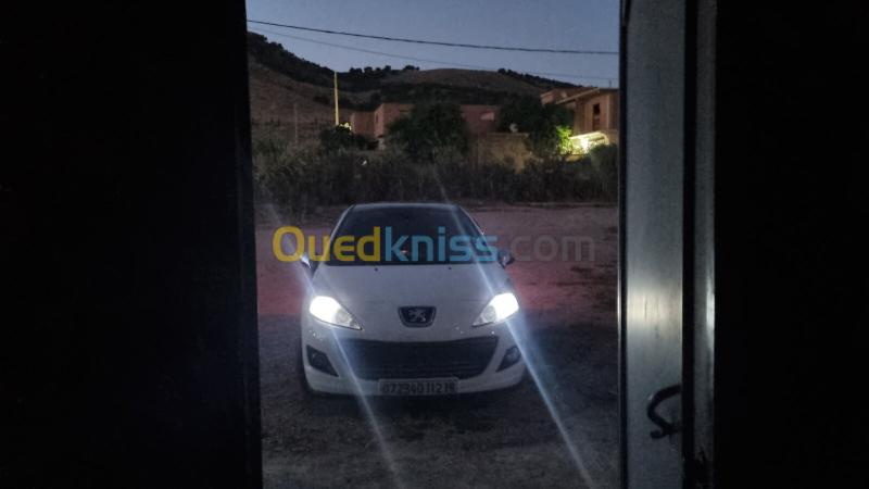 Peugeot 207 2012  7